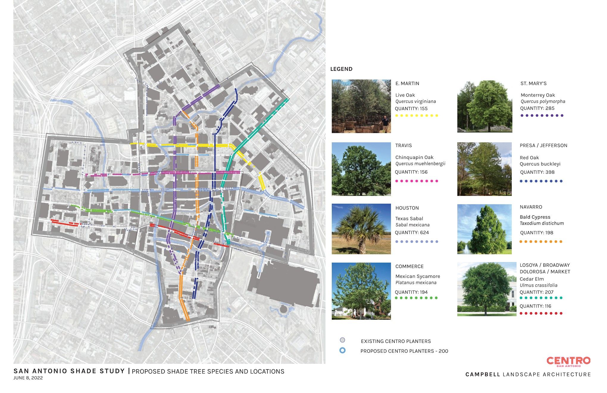 230206 SAN ANTONIO SHADE STUDYBOOK FINAL Page 045.jpg