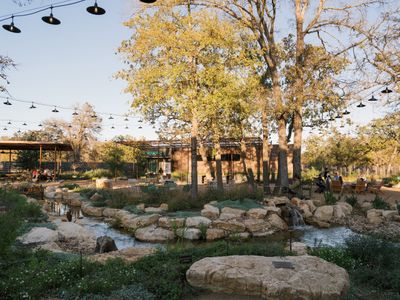 LEONA BOTANICAL CAFE