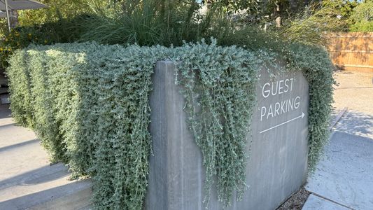 SWEDISH HILL SOUTH 1ST