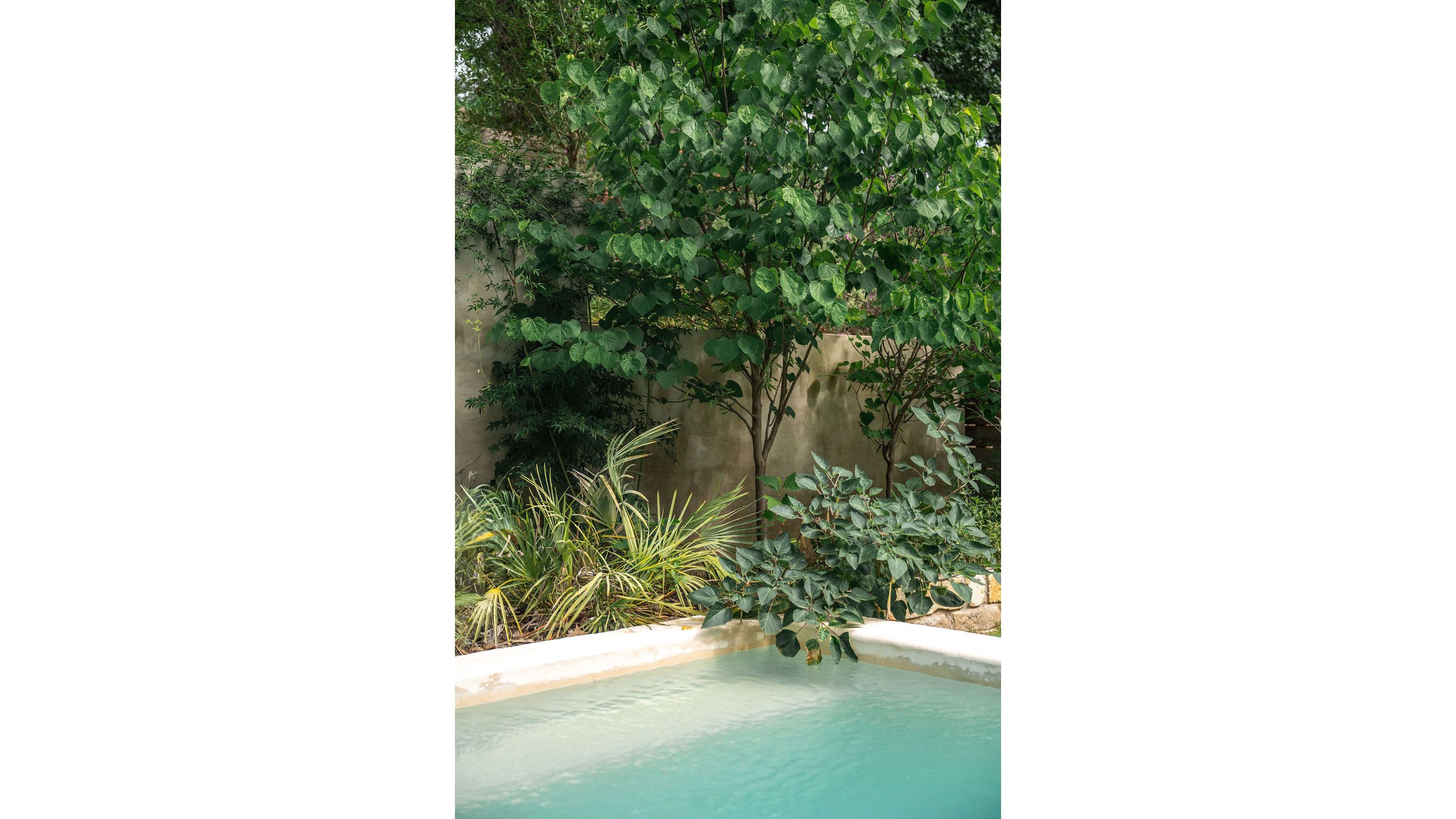 campbell-la-TRAVIS-HEIGHTS (18).jpg