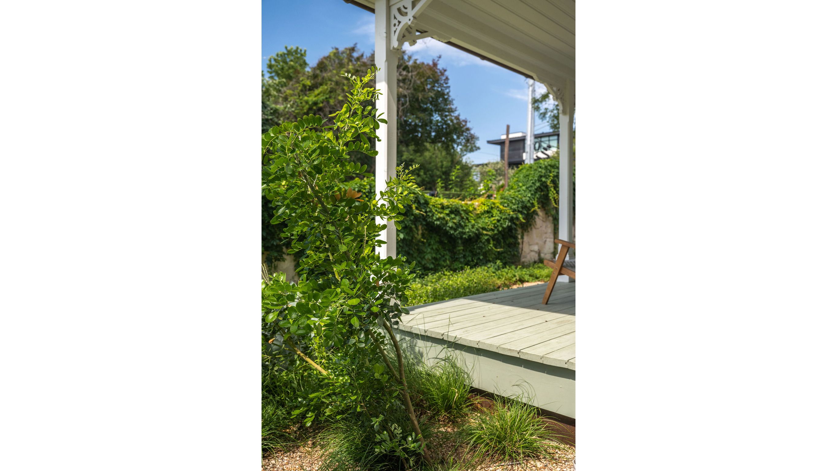 West 11th Street 8.jpg