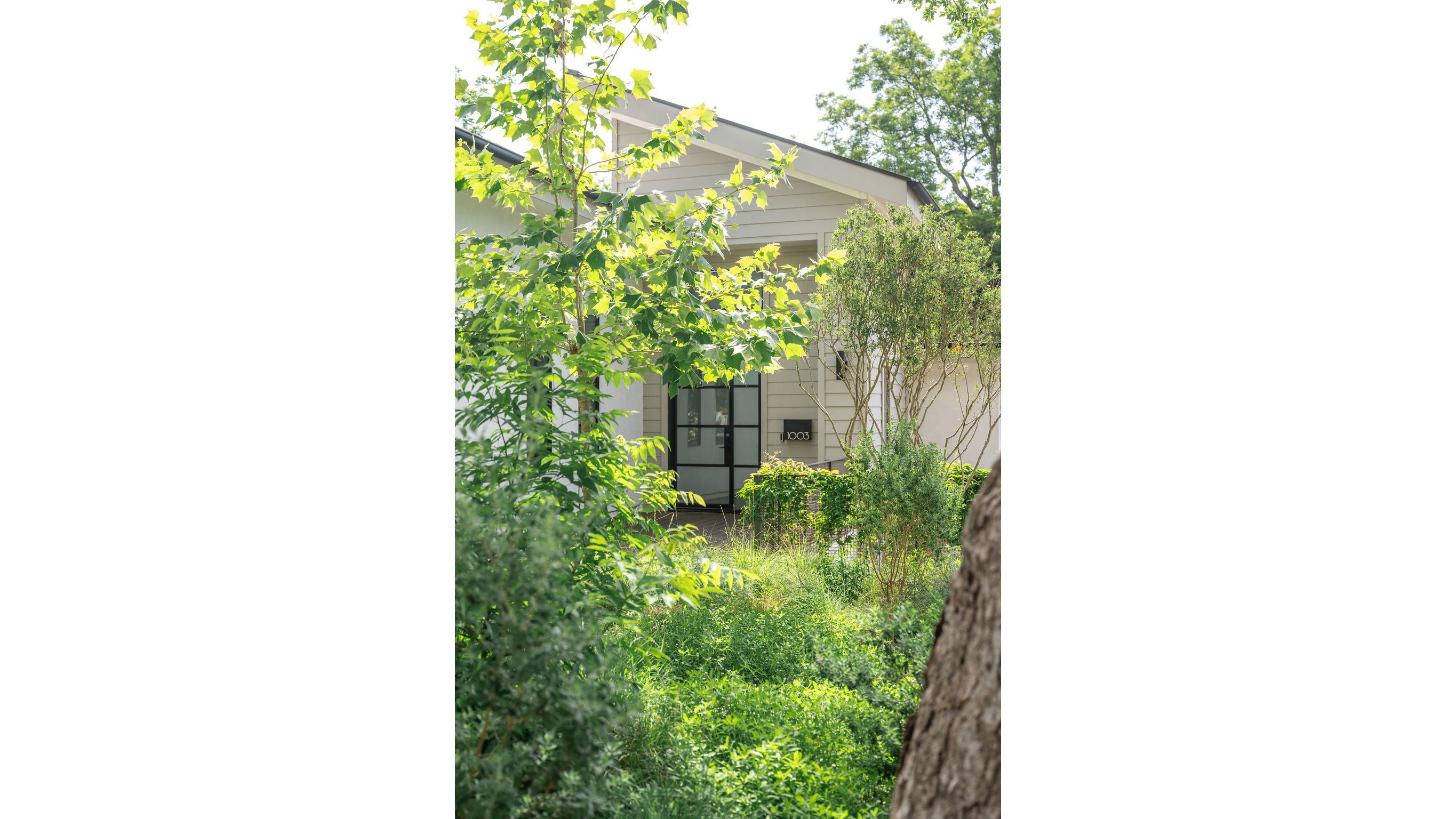 campbell-la-TRAVIS-HEIGHTS (6).jpg