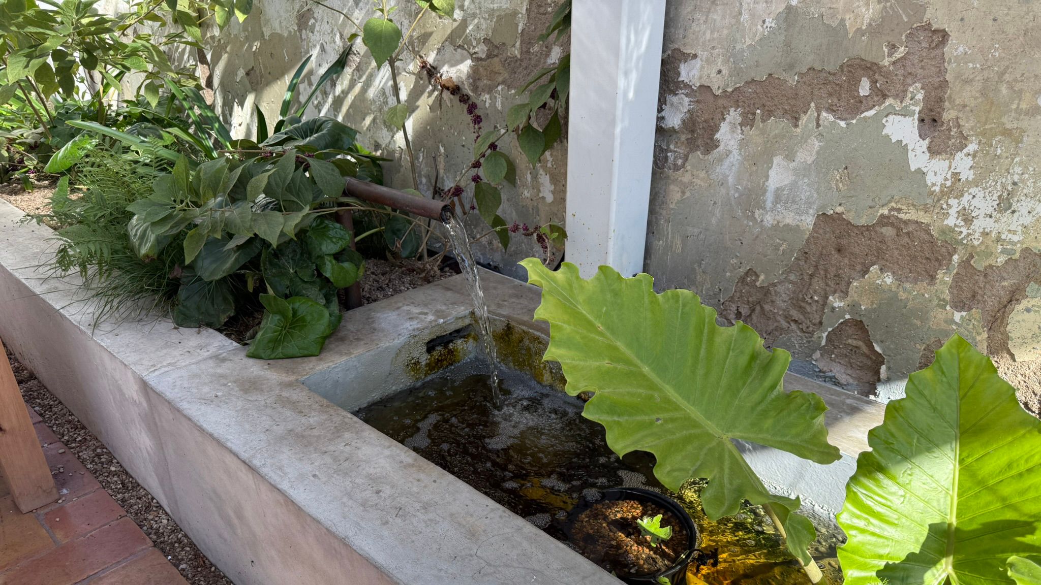 Swedish Hill South 1st 6.jpg