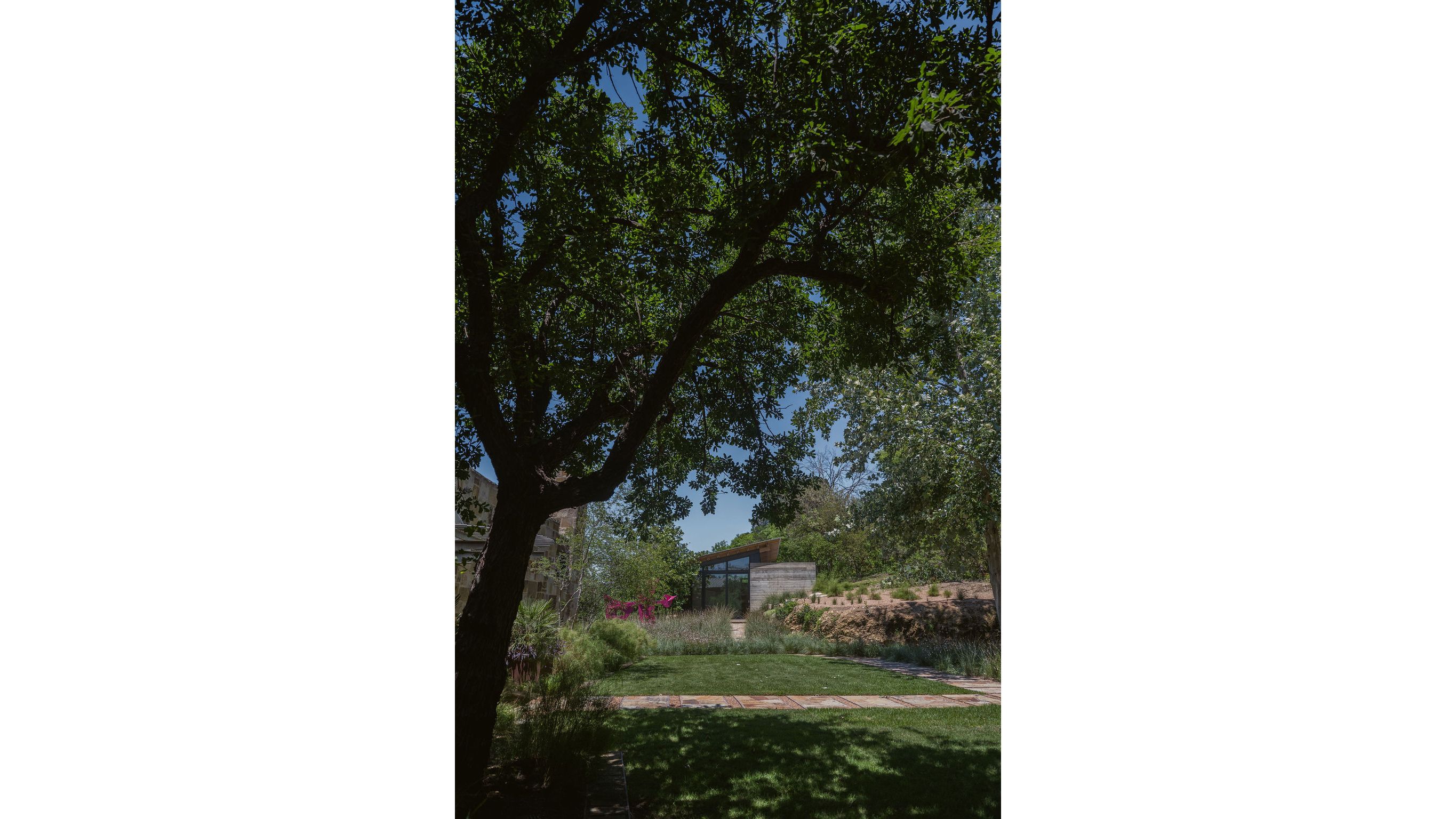 MML_CLA2026_TorcidoSanAntonio-2764.jpg