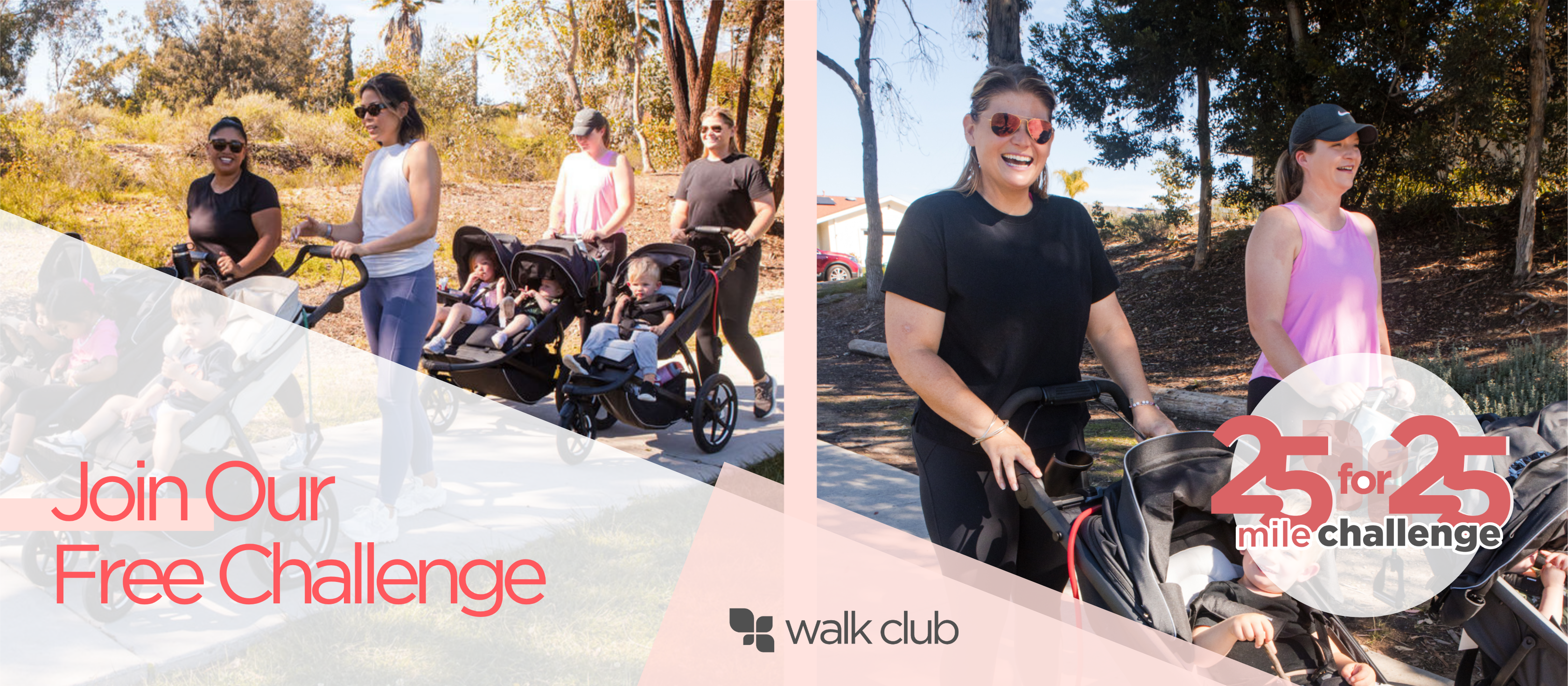 Walking Challenge -  Website Banner-2.png