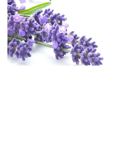 Untitled design (42).jpg