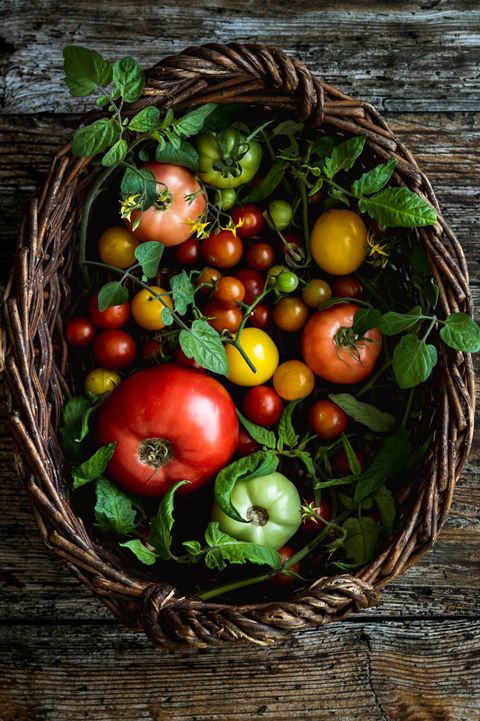 Plum Blog Summer Tomato