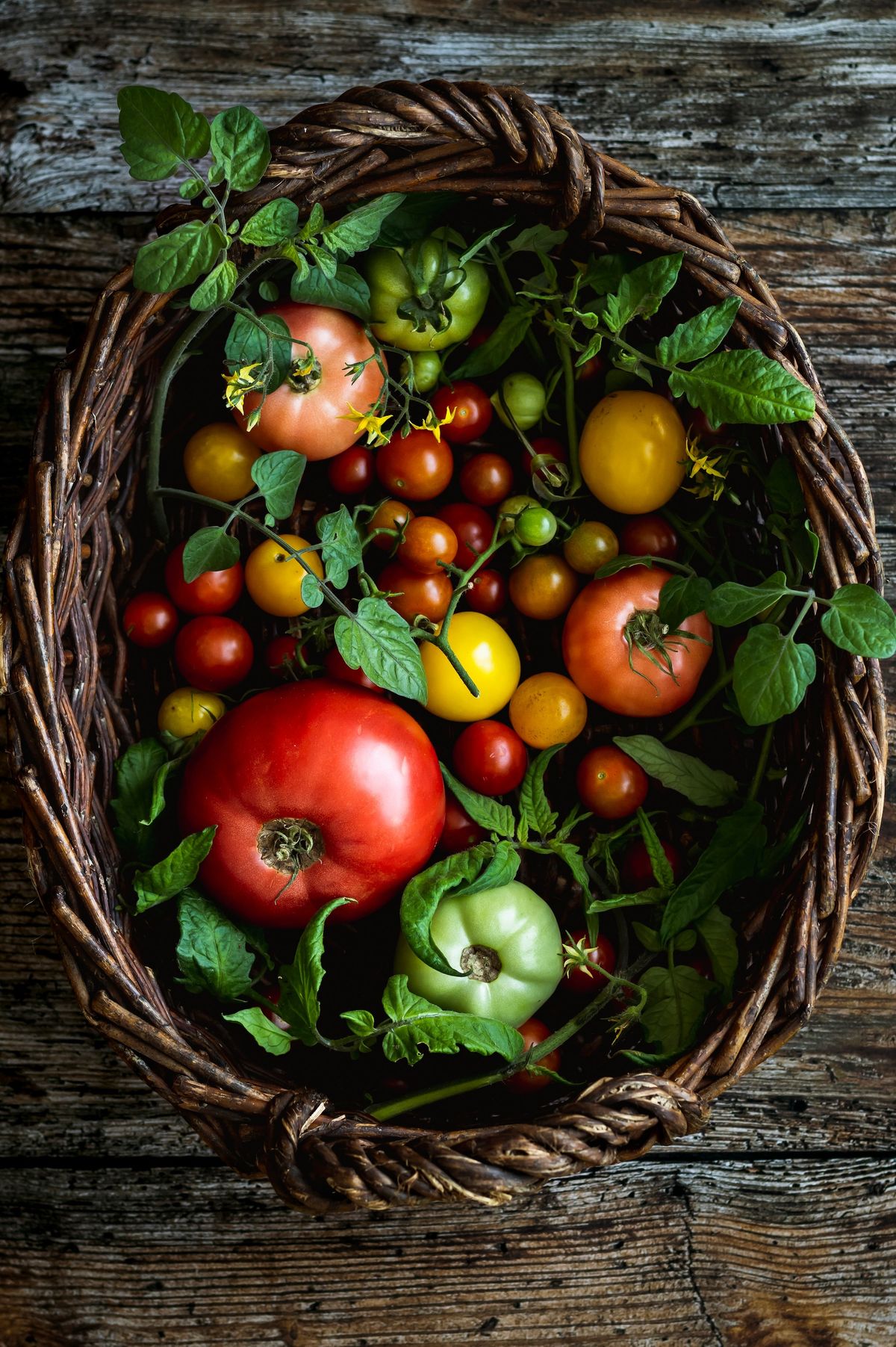 Plum Blog Summer Tomato