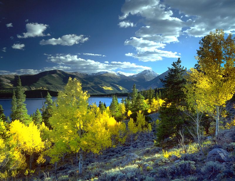 Who Are The Famous People That Live In Aspen Co Belly Up Aspen