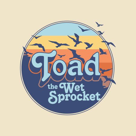 Toad The Wet Sprocket 2019 Logo MB.jpg