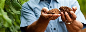 cwk_fb_bernie-holding-dirt_cropped_300x113.jpg