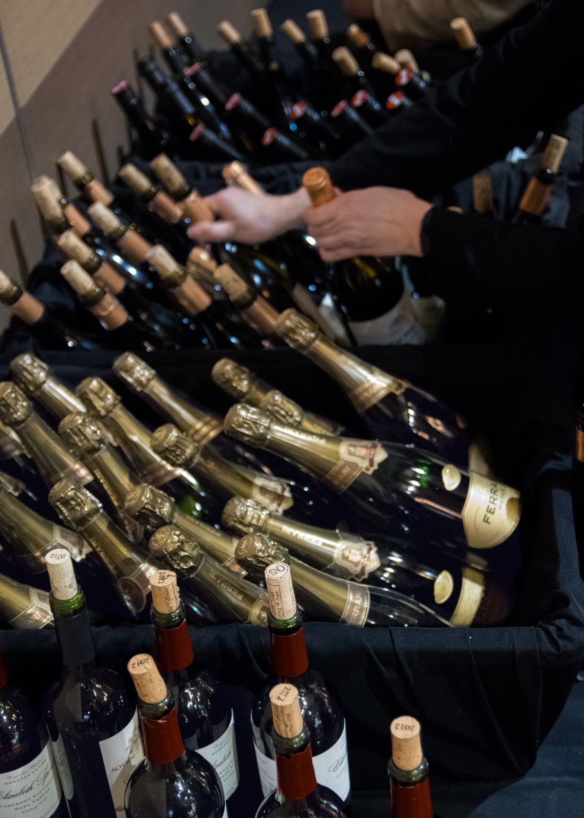 2016 Somms Under Fire