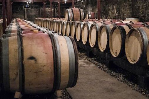 Wooden Barrels of Wine