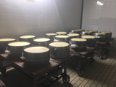Parmigiano-Reggiano Cheese Wheels