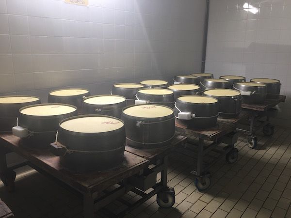 Parmigiano-Reggiano Cheese Wheels