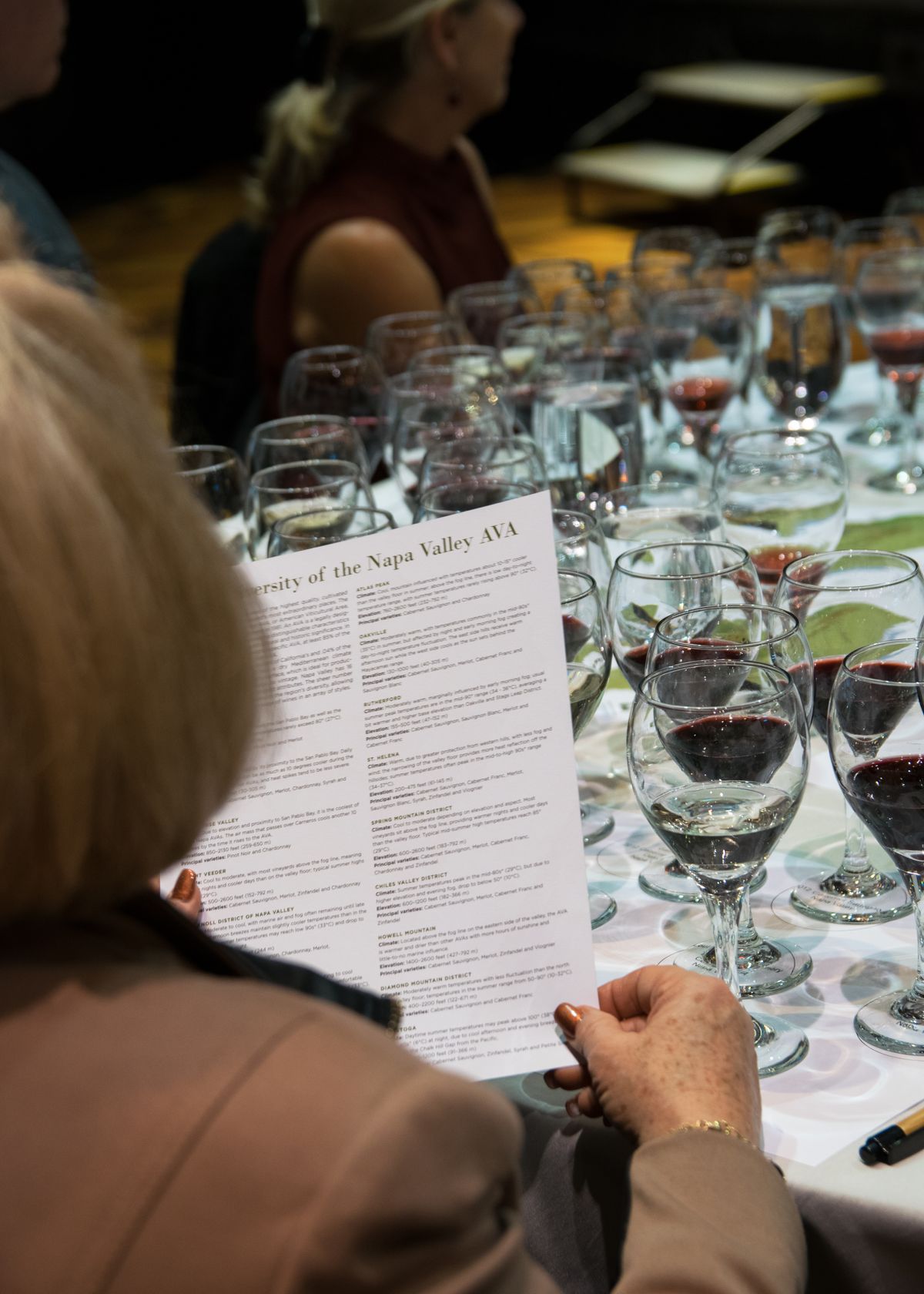 2016 Somms Under Fire