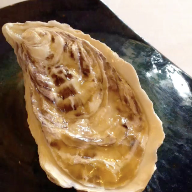 oyster with seaweed
