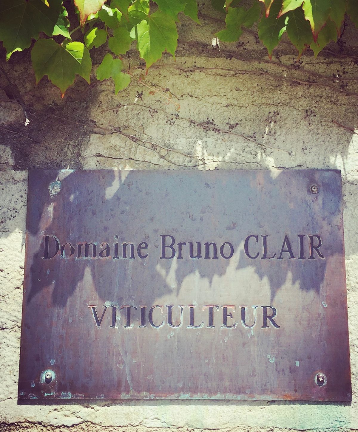 Domaine Viticole Bruno Clair