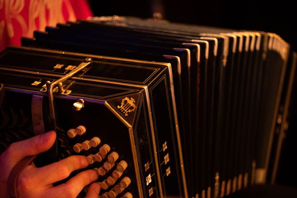 13748526-tango-4524899.jpg