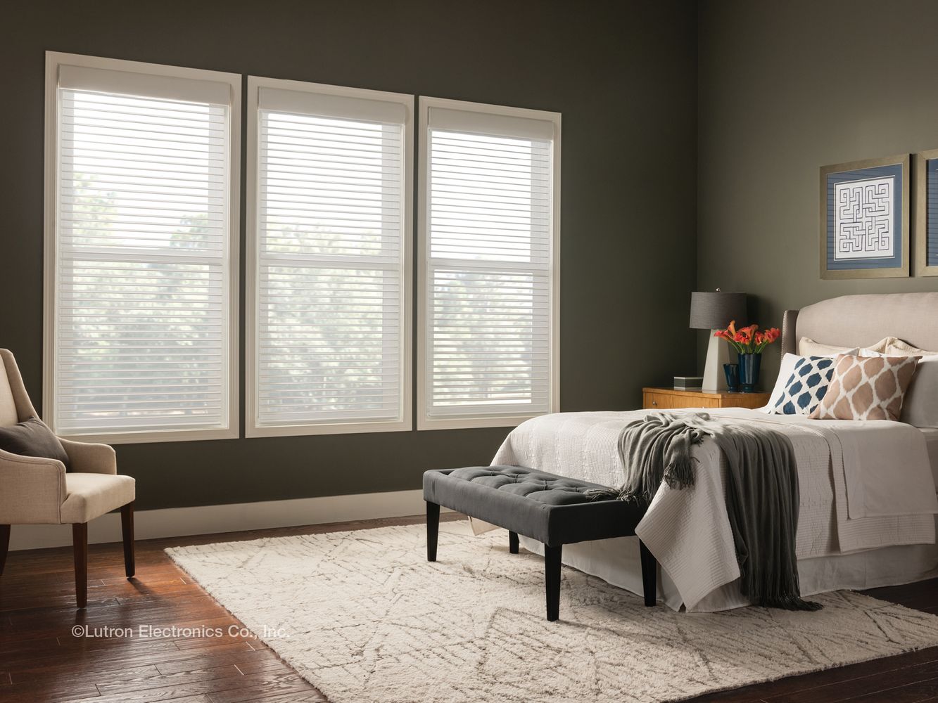 Solar Shades Cellular Blinds, Lutron shades, smart shades, Roller shades IN AUSTIN, LAGO VISTA, SPICEWOOD, BEE CAVE, LAKEWAY, DRIPPING SPRINGS, WIMBERLY, MARBLE FALLS, WEST LAKE HILLS, FREDERICKSBURG , HORSESHOE BAY, BELTON Solar Shades Cellular Blinds, Lutron shades, smart shades, Roller shades IN AUSTIN, LAGO VISTA, SPICEWOOD, BEE CAVE, LAKEWAY, DRIPPING SPRINGS, WIMBERLY, MARBLE FALLS, WEST LAKE HILLS, FREDERICKSBURG , HORSESHOE BAY, BELTON