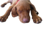 257798_10150212103140509_2498804_o.png