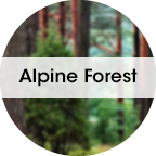 Alpine-Forest-1.png