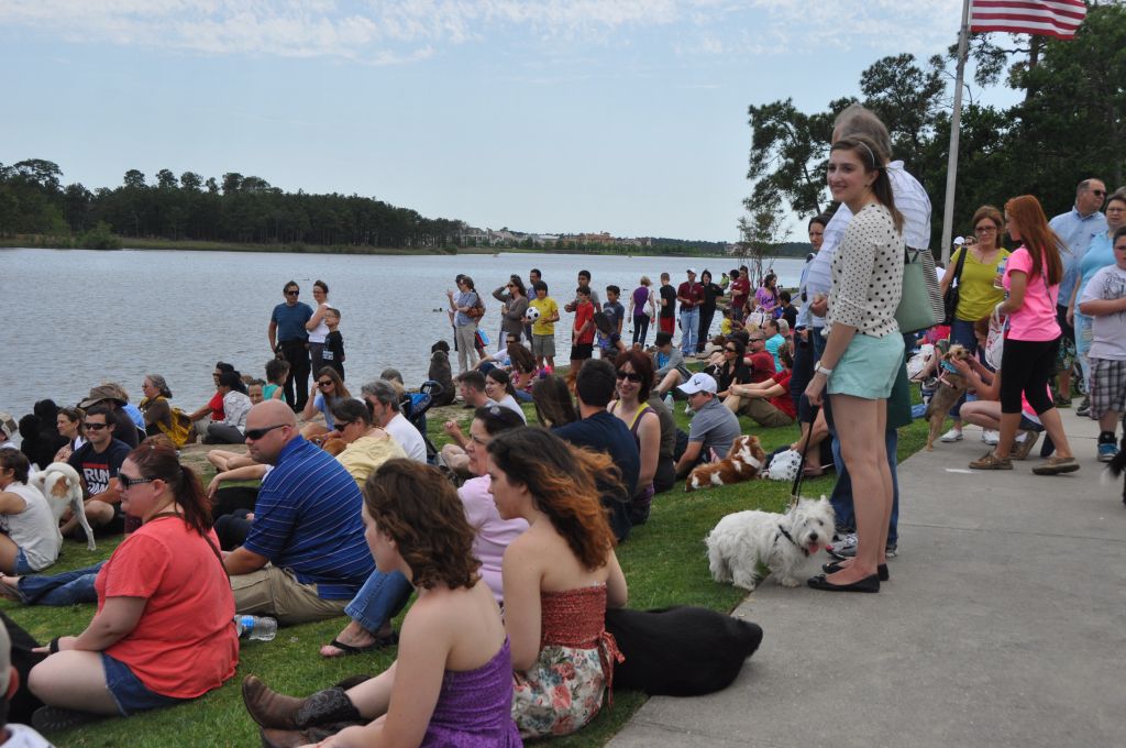 0649 spring bark 2013.jpg