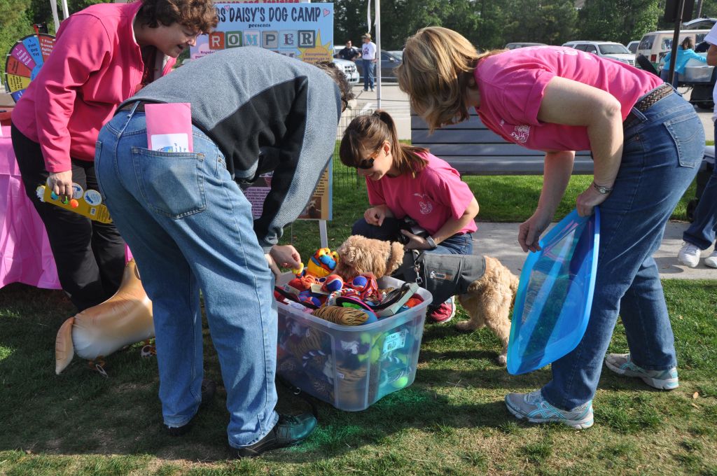 0244 spring bark 2013.jpg