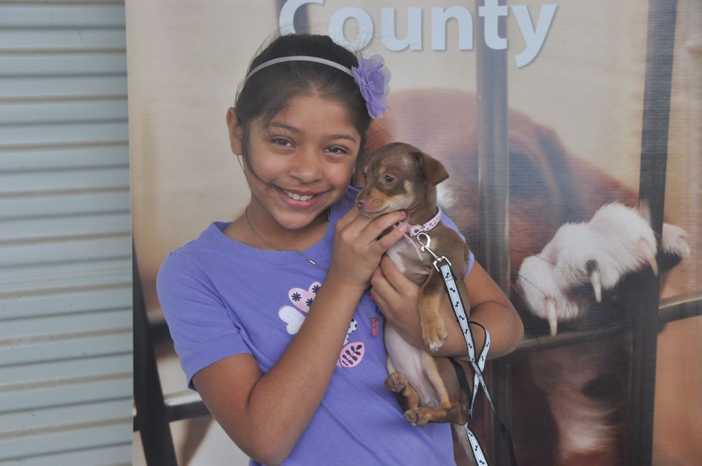 0117 Pet Health Fair 11-13.jpg