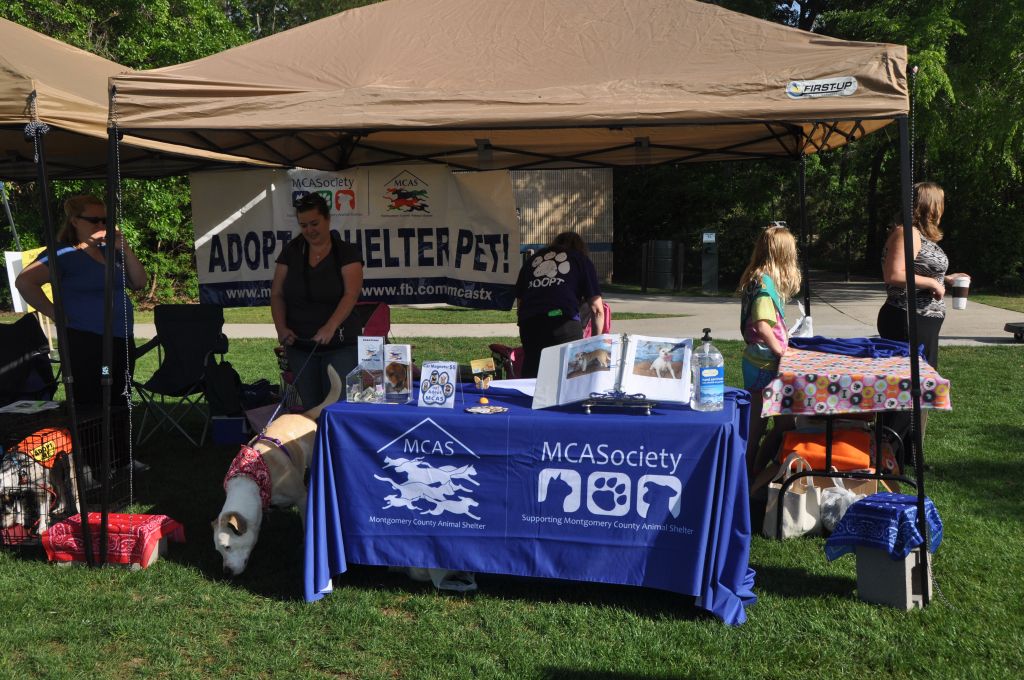 0250 spring bark 2013.jpg