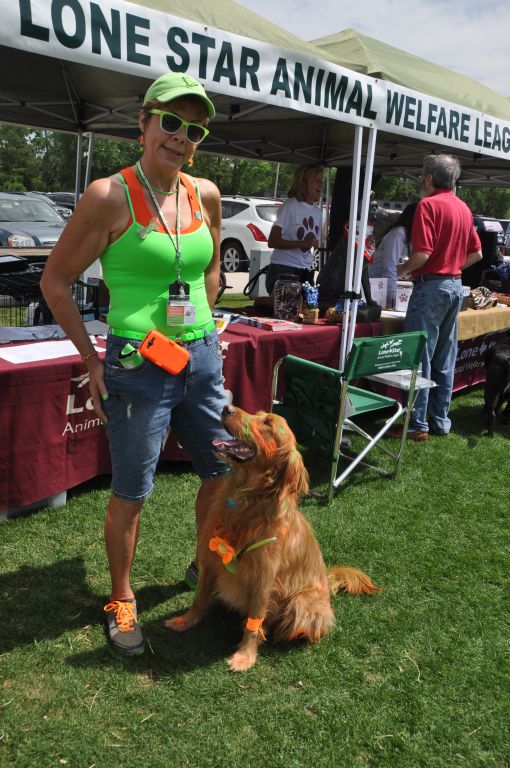 0549 spring bark 2013.jpg