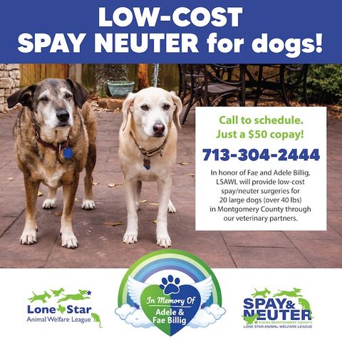 LSAWL Memorial Sponsorship for Adele and Fae.JPG