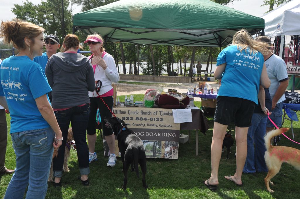 0421 spring bark 2013.jpg