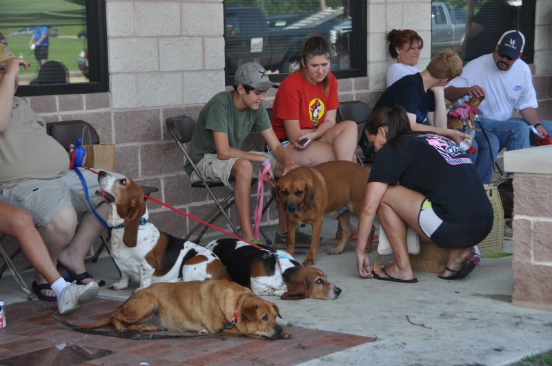 0387 pethealthfair 5-13.jpg