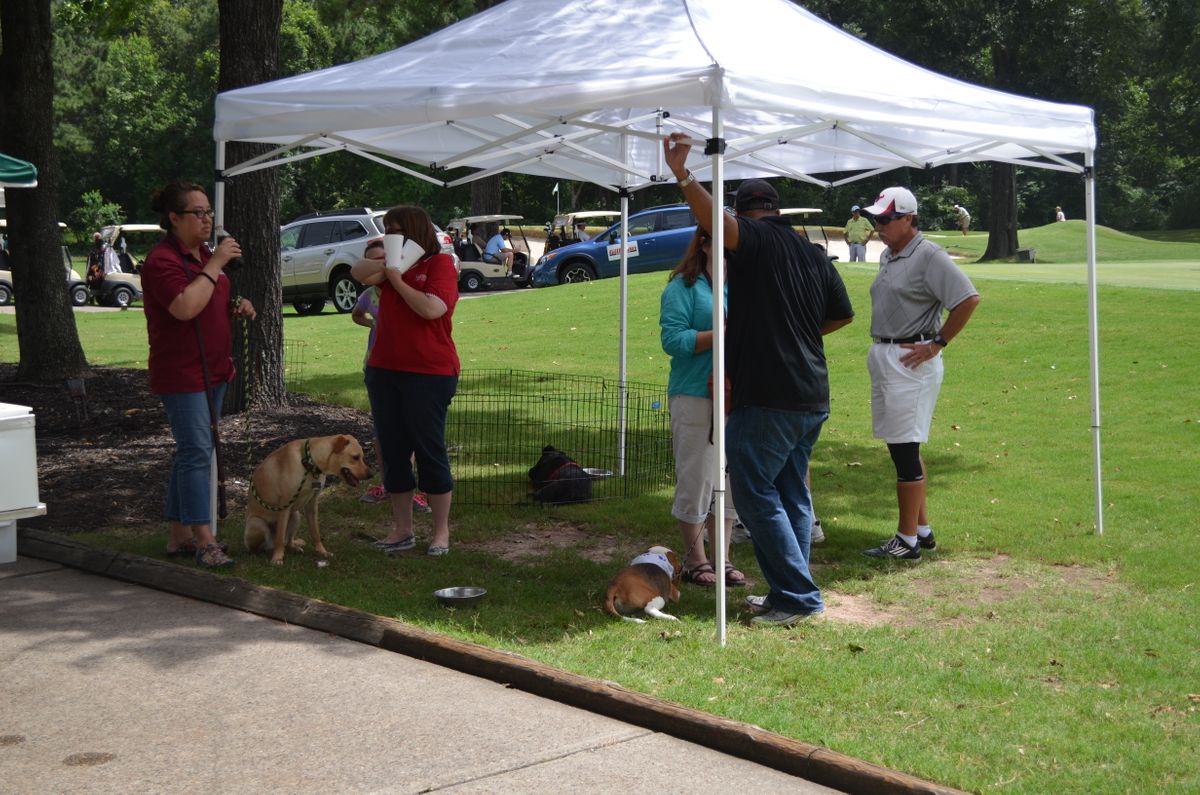 Rescue Dogs 2014 034.jpg