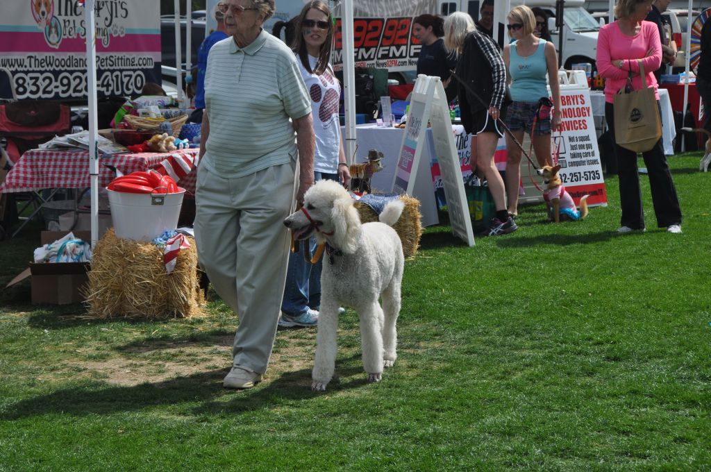 0457 spring bark 2013.jpg