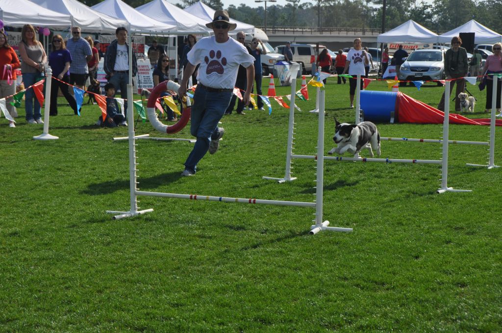 0340 springbark 2013.jpg