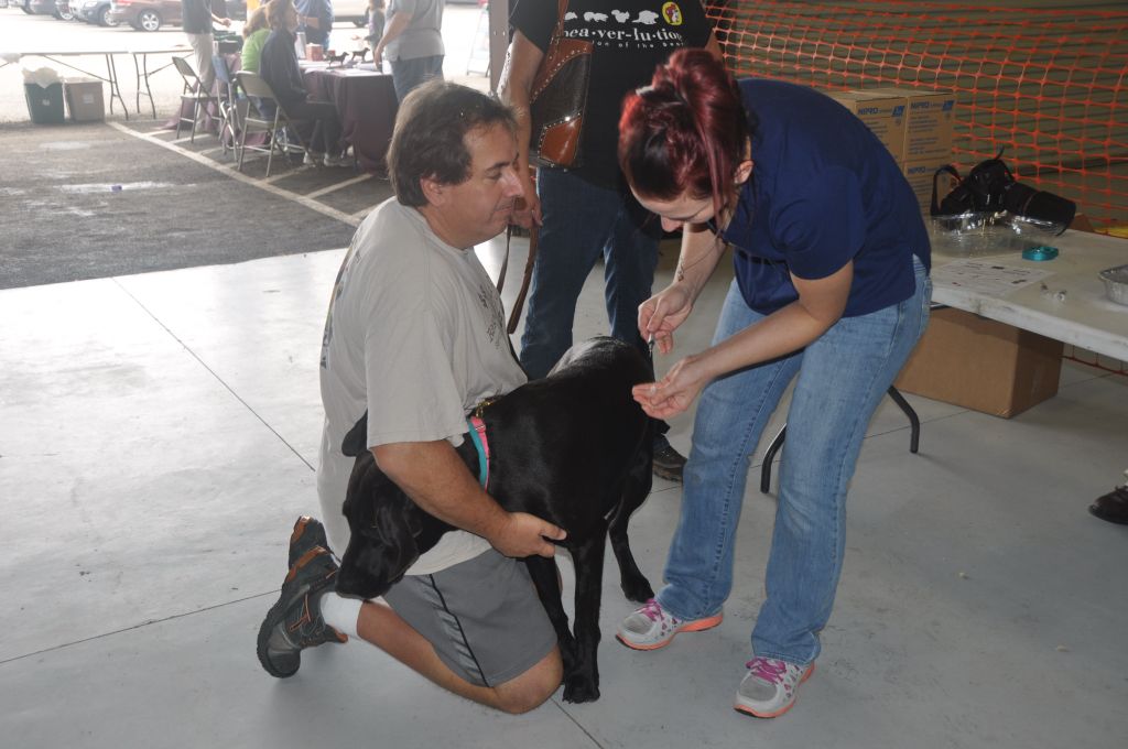 0130 Pet Health Fair 11-13.jpg