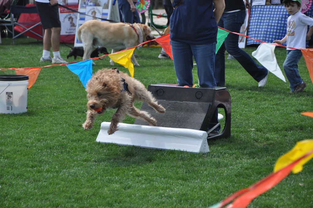 0477 spring bark 2013.jpg