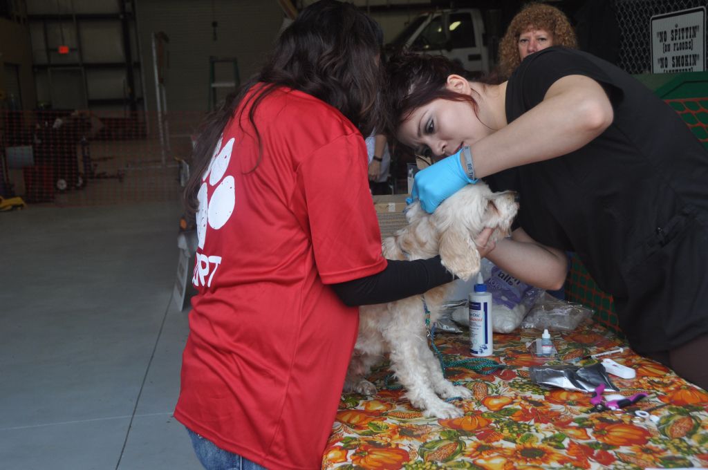 0073 Pet Health Fair 11-13.jpg