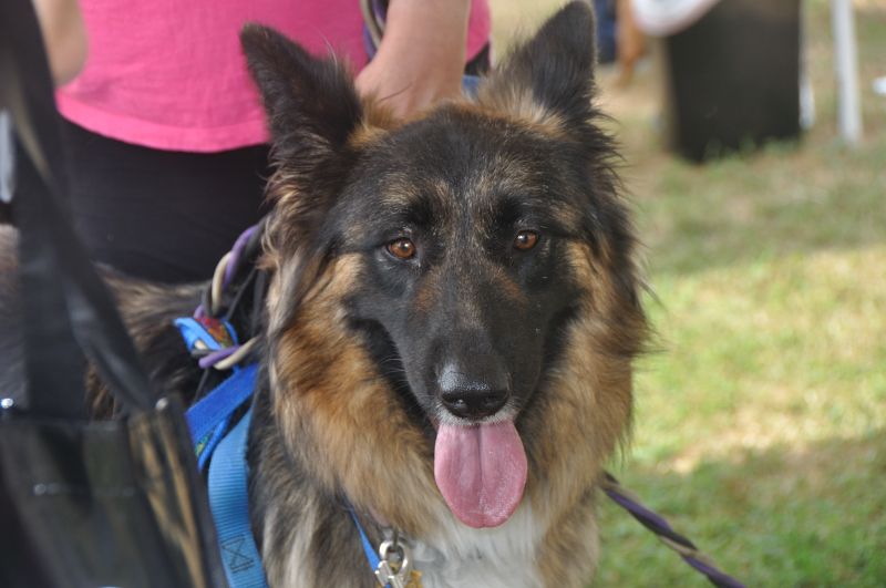 0056 PetHealthFair 4-14.jpg