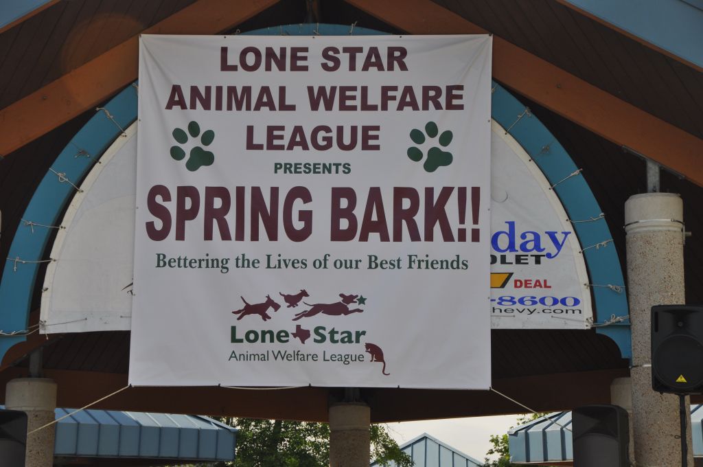 0355 spring bark 2013.jpg