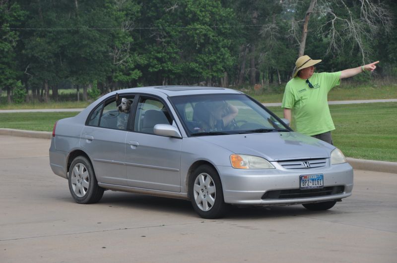 0320 pethealthfair 5-13.jpg