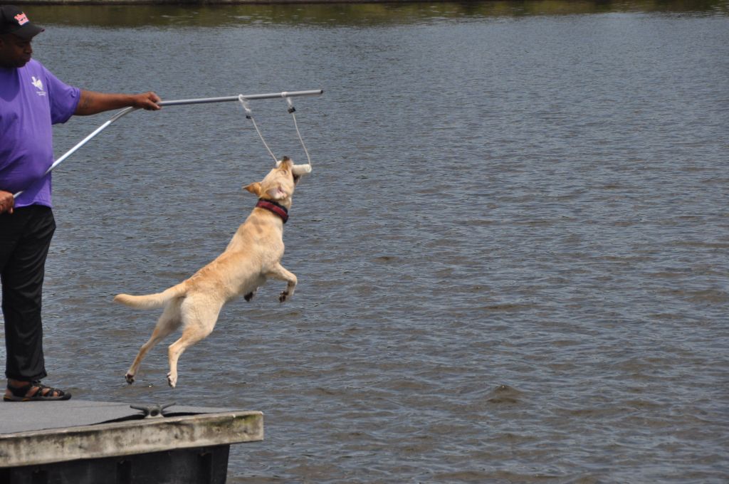 0659 spring bark 2013.jpg