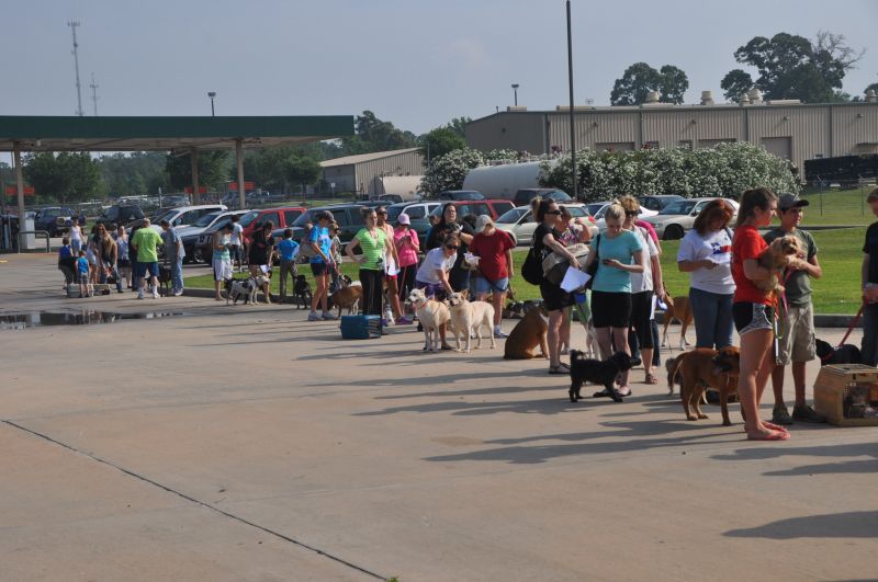 0362 pethealthfair 5-13.jpg