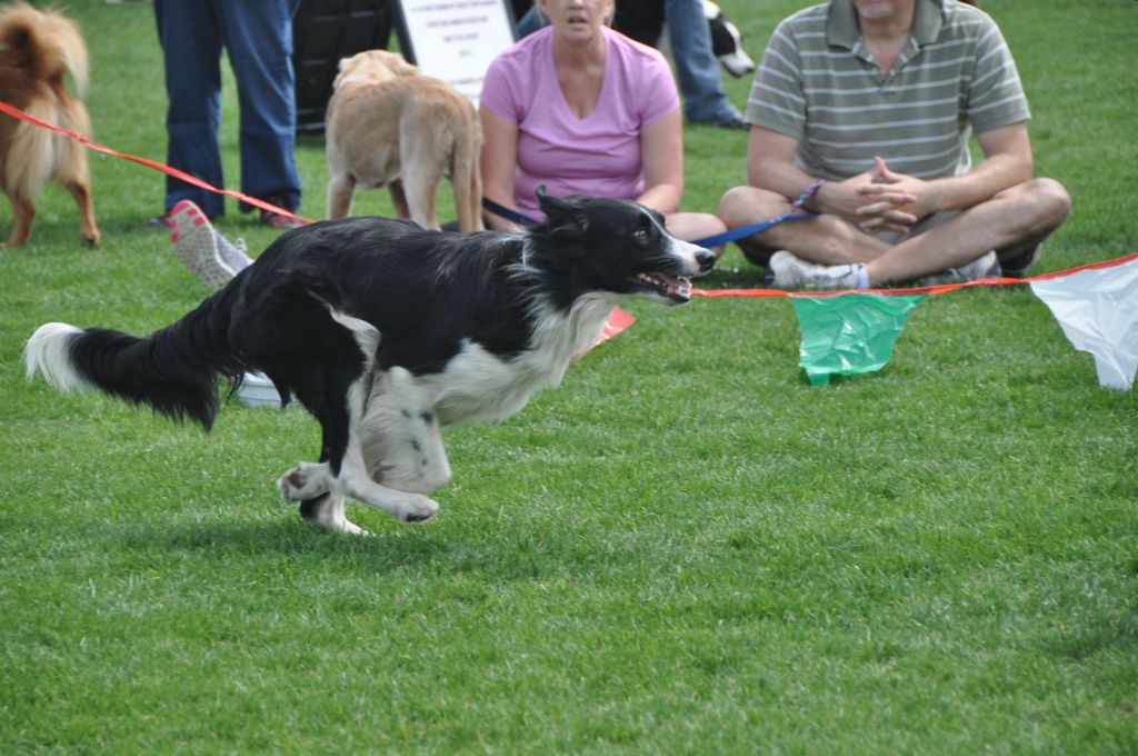 0489 spring bark 2013.jpg