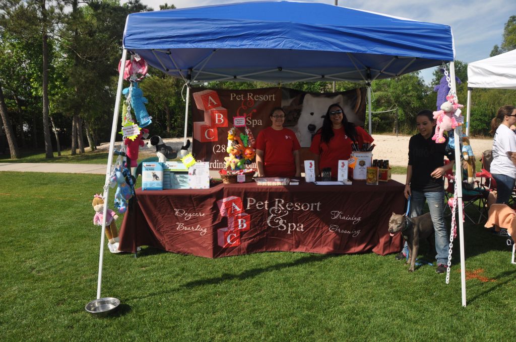 0356 spring bark 2013.jpg