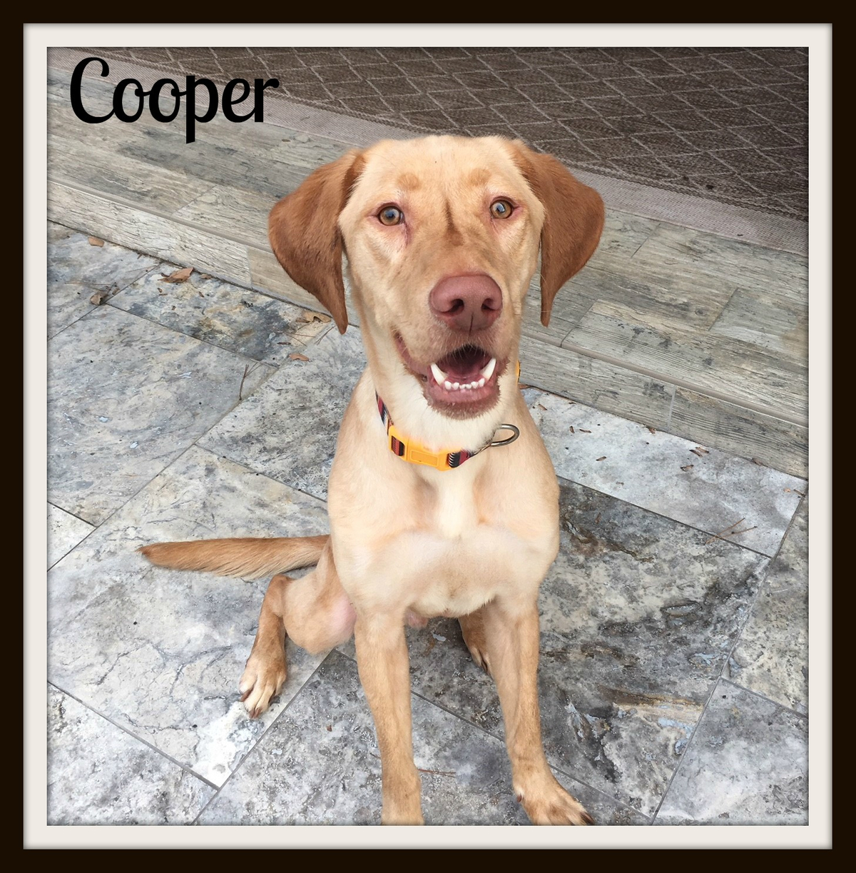 Cooper1cvr.jpg