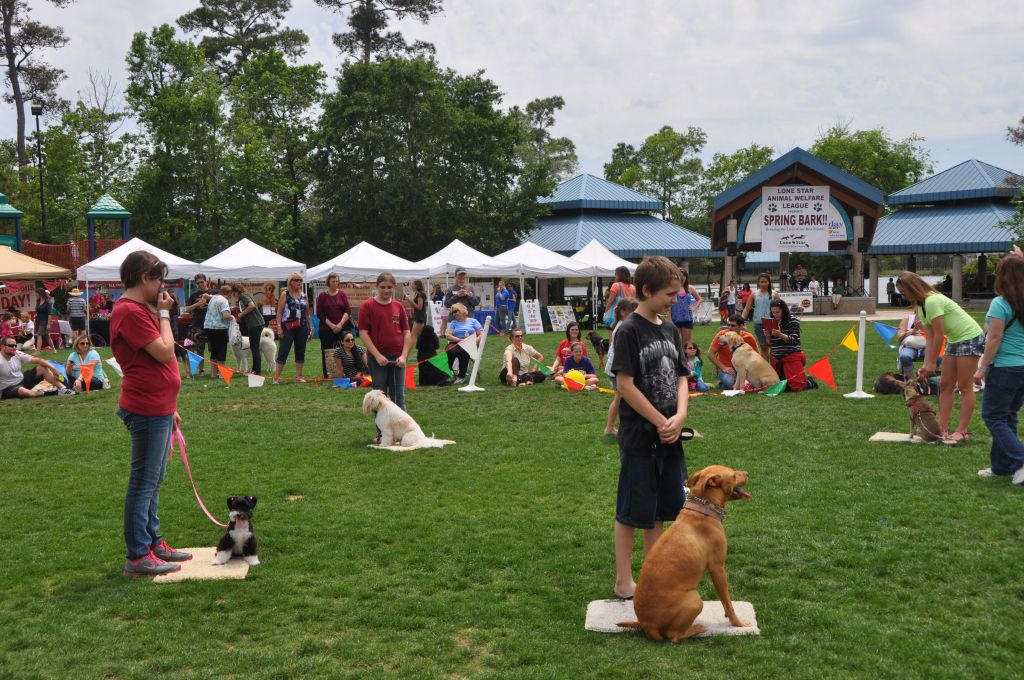 0608 spring bark 2013.jpg