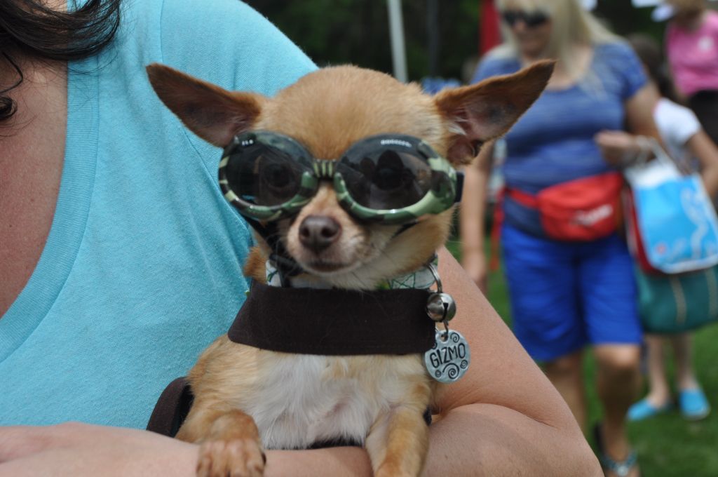 0603 springbark 2013.jpg